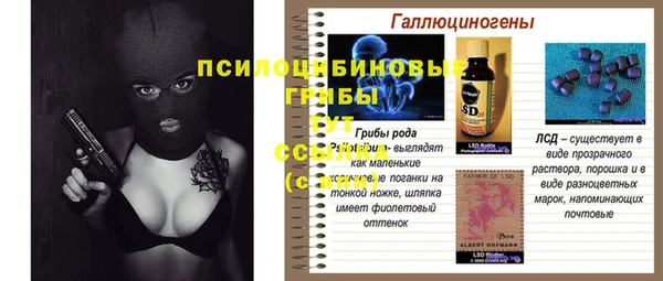 тгк Володарск