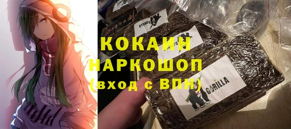 тгк Володарск
