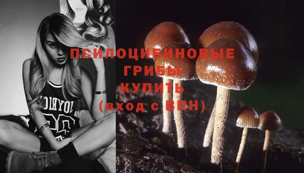 тгк Володарск